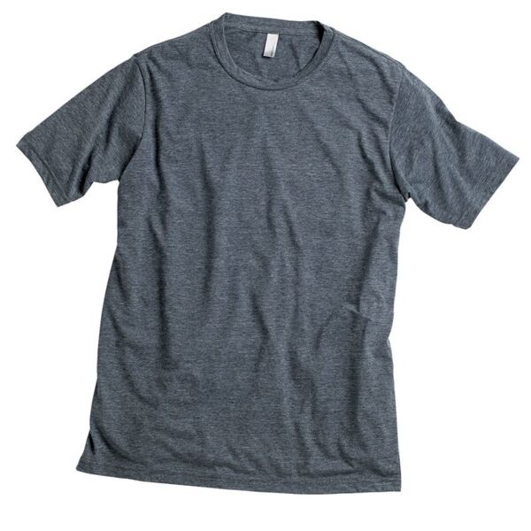 Next Level Apparel Festival T-Shirt 6200 Festival T-Shirt Thumbnail